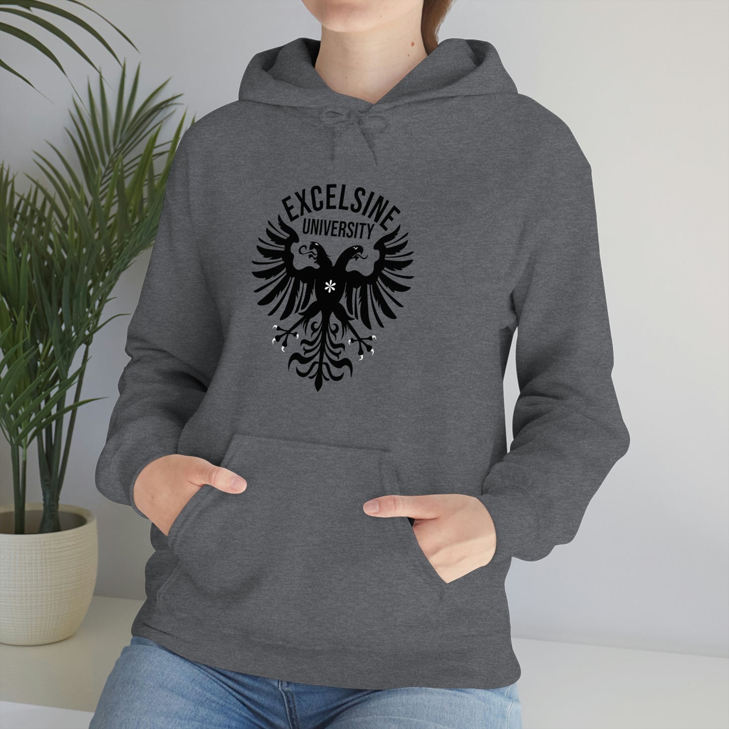 Excelsine University Hooded Sweatshirt