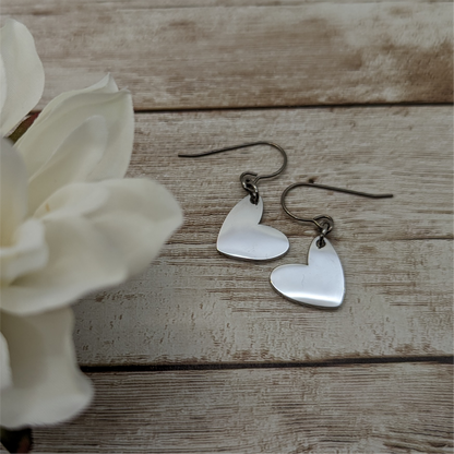 Silver Hearts of Friendship Titanium Earrings